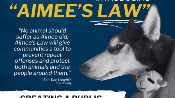 E-news Updates – January 29, 2026