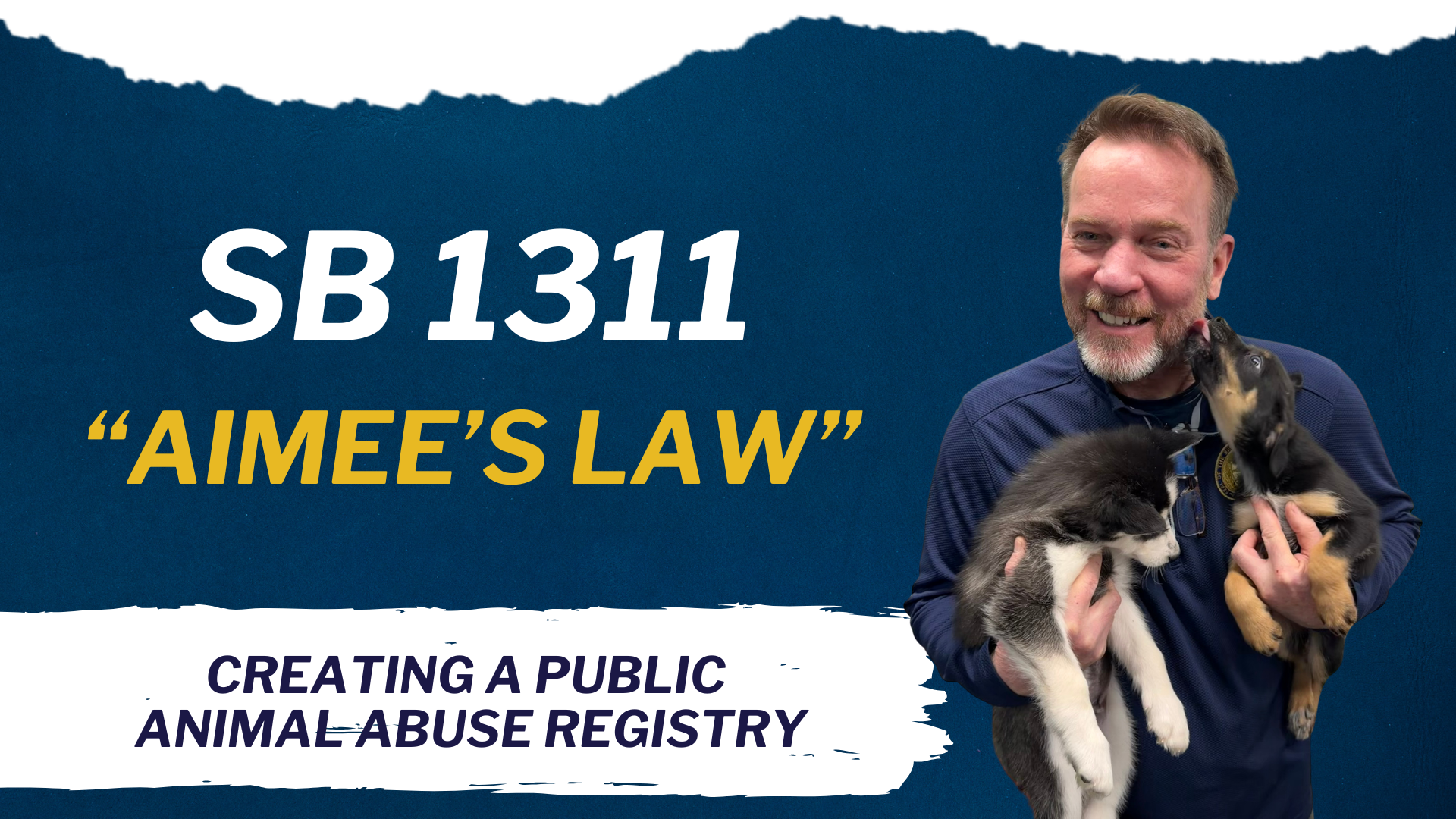 Senator Laughlin holding two puppies with text that reads Senate Bill 131 Aimee’s Law creating a public animal abuse registry