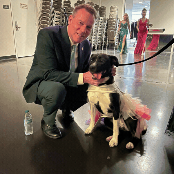 Slideshow including two images of Sen. Laughlin with dogs in costumes and an image of everyone seated at tables for the Mutt Gala
