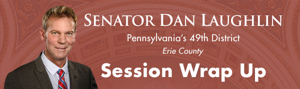 Senator Laughlin E-Newsletter